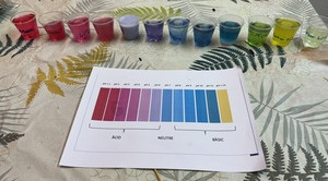 Imatge Puntual màgia o ciència